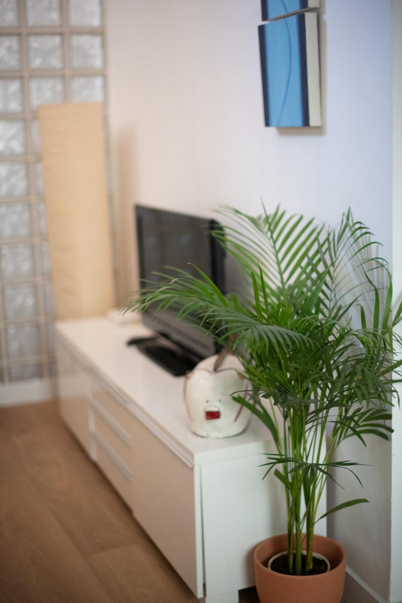 Cozy & Quiet Apartment In The Center Malaga Luaran gambar